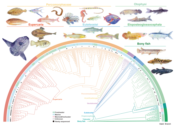 U020251107630903320819.png 星天地