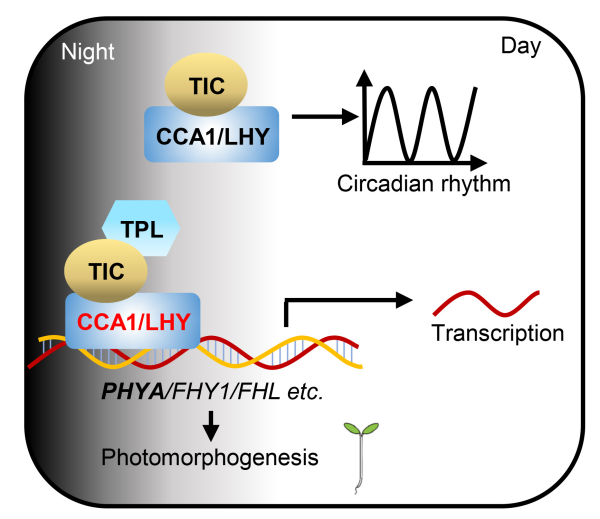 U020251110688305367218.jpg 星天地