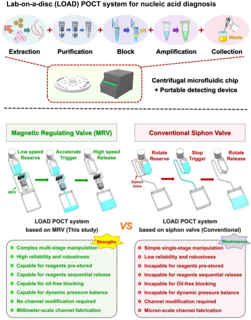 U020251111312257209822.png 星天地