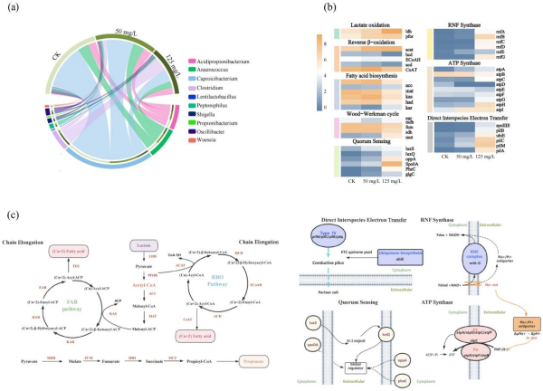 U020251111343341518656.jpg 星天地