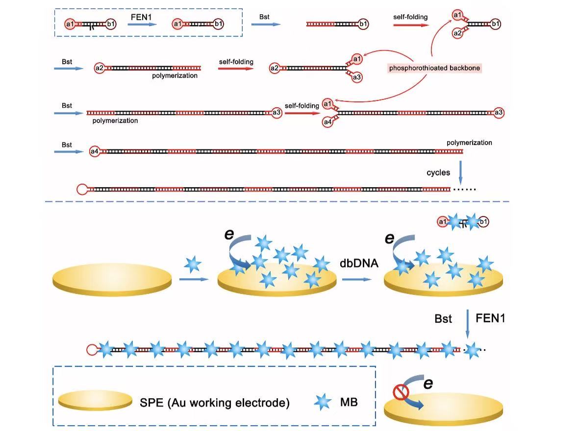 U020251111380870012142.jpg 星天地