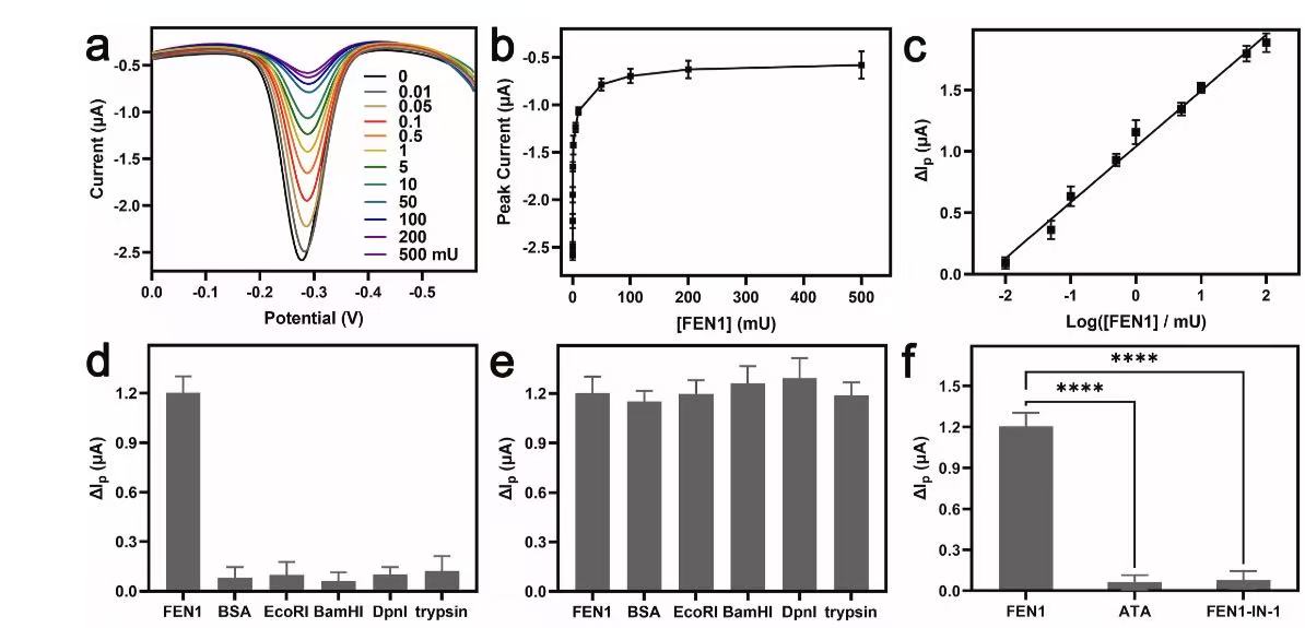U020251111380870331502.jpg 星天地