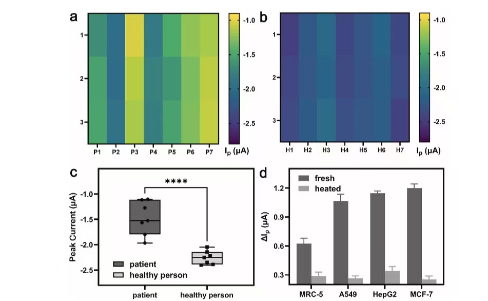 U020251111380870497746.jpg 星天地