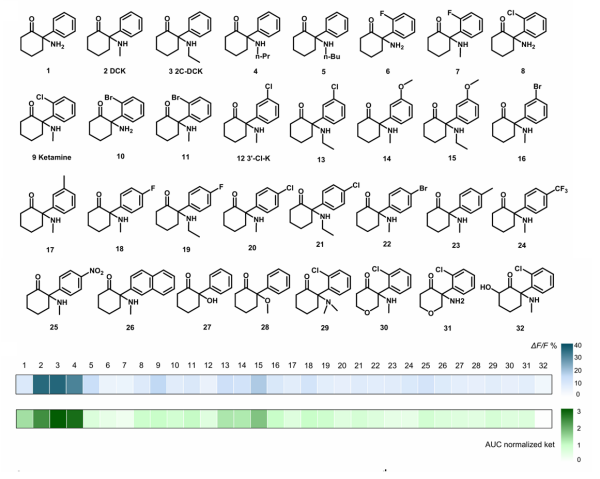 U020251111617836713130.png 星天地