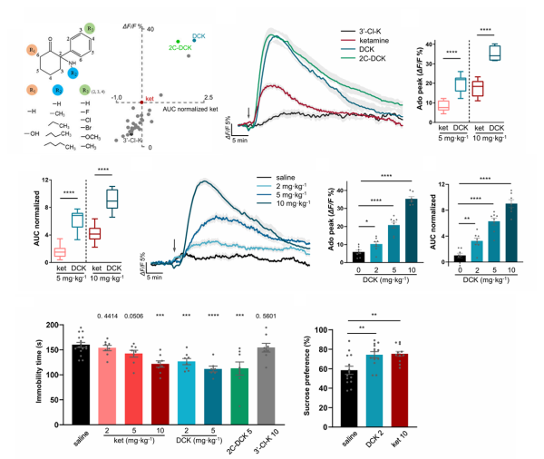 U020251111617837144162.png 星天地