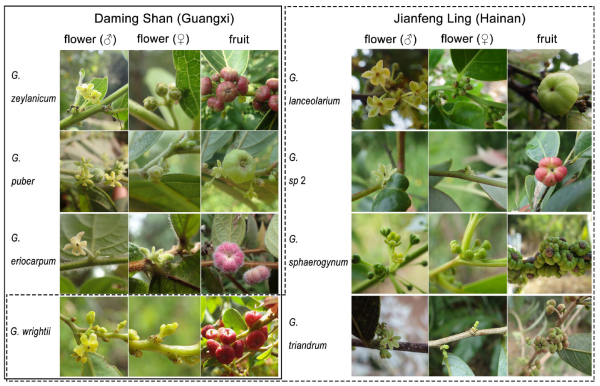 U020251112410346757143.png 星天地