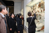 与会代表参观国家动物博物馆