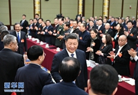 习近平看望参加政协会议的<br>文艺界社科界委员