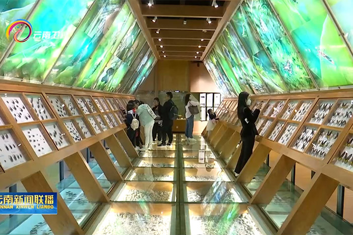 【云南卫视】“遇见科学-预见未来” 星天地娱乐城官网
第十九届公众科学日 昆明活动丰富多彩