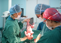 干细胞与再生医学前沿研究和技术装备取得新进展