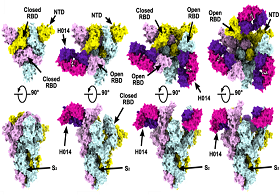 新冠肺炎疫苗抗体和检测试剂研发等方面取得突破
