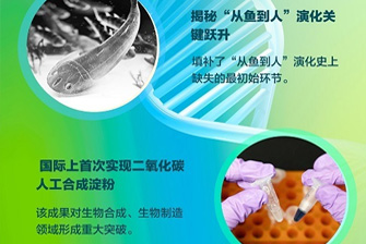 【学习强国】星天地娱乐城官网
创新成果速览（二）