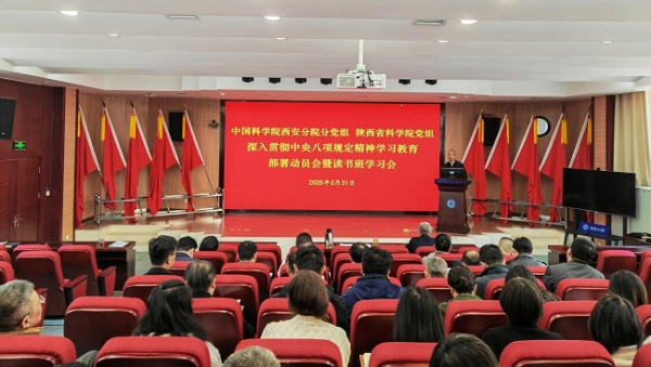 U020250401673366964694.jpg 星天地