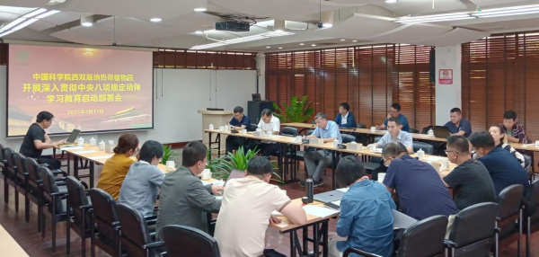 U020250402538547426781.jpg 星天地