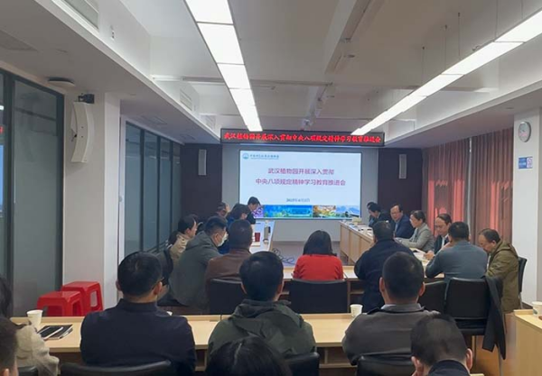 U020250406792104726768.jpg 星天地