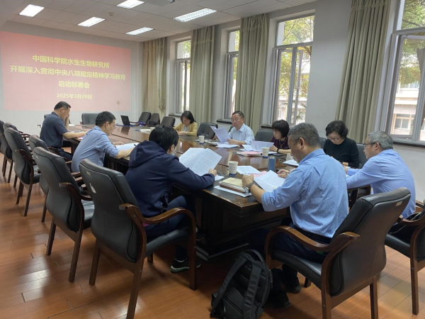 U020250407621293732181.jpg 星天地