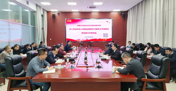 U020250407387131372020.jpg 星天地