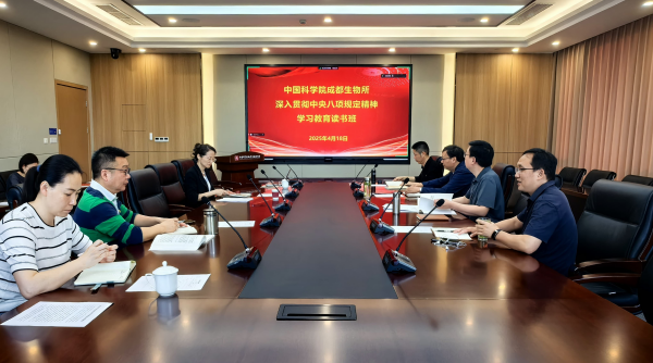 U020250422588045421206.jpg 星天地