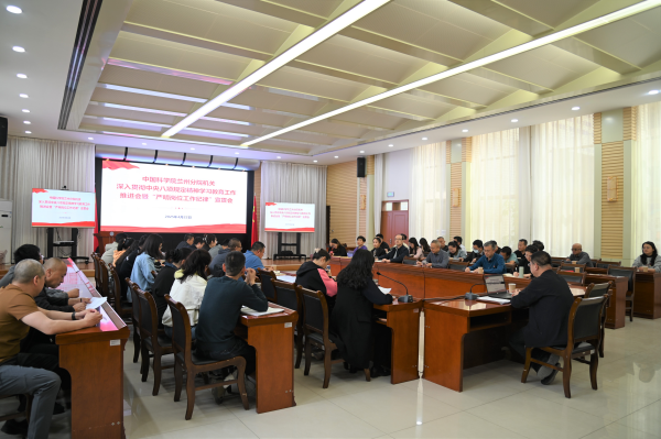 U020250422659909088676.jpg 星天地