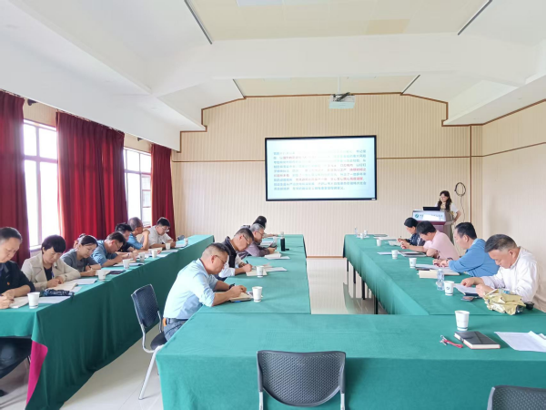 U020250704424042189573.jpg 星天地