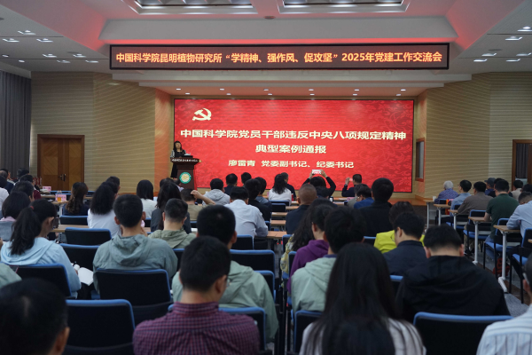 U020250703495458212385.jpg 星天地