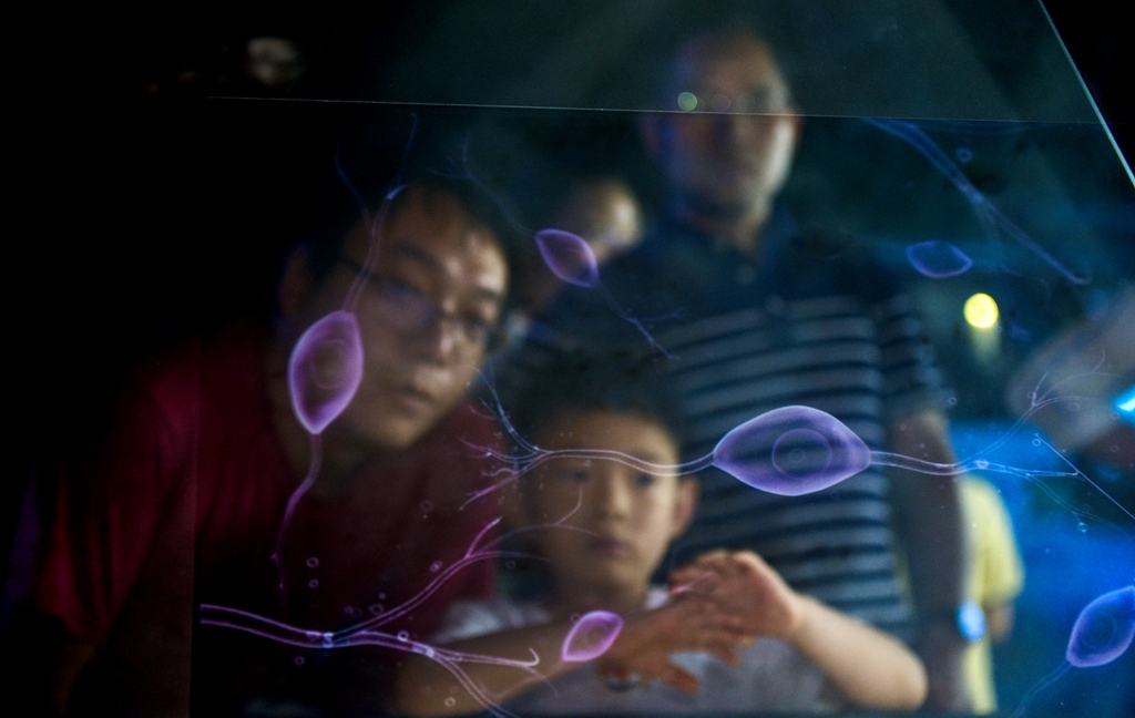 科学魅力：关注生命奥秘