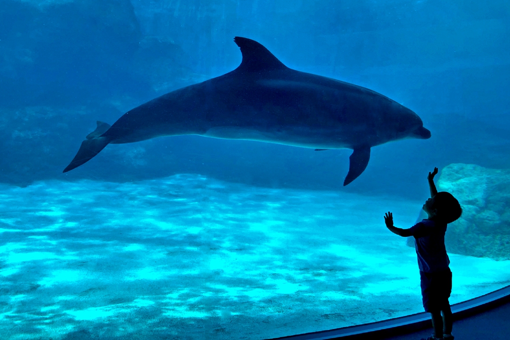 “我看新中国成立70周年和中科院建院70周年新成就”摄影大赛·二等奖