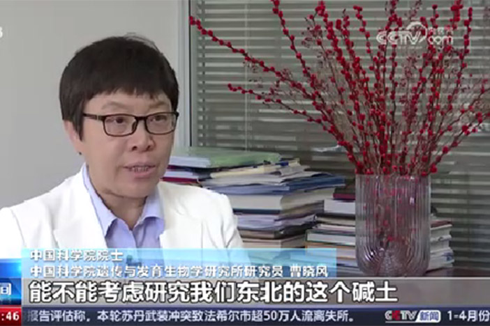 【新闻直播间】大国科学家 曹晓风：敢啃“硬骨头” 努力让荒地变沃土