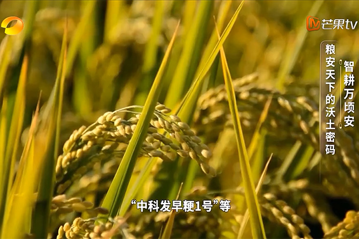 经纬山河 智策强国：粮安天下的沃土密码