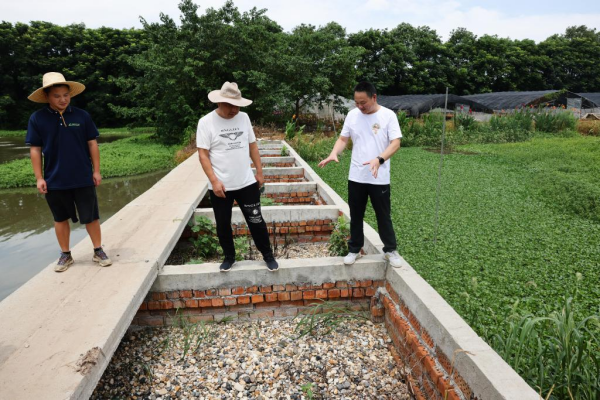 1129765884_16902020645411n.jpg 星天地