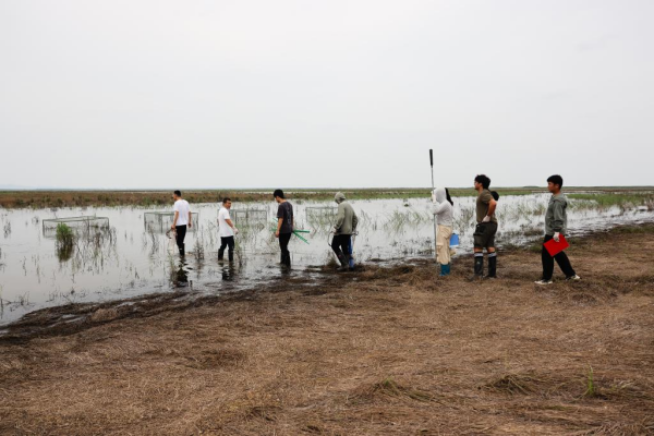 1129765884_16902020645231n.jpg 星天地