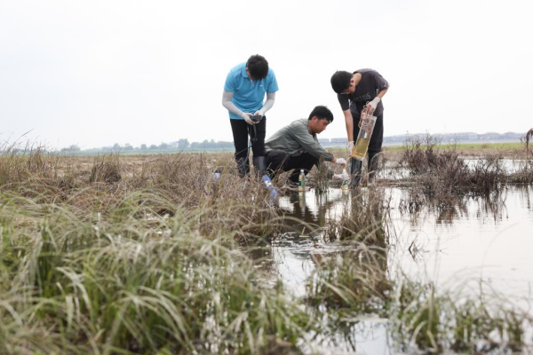 1129765884_16902020645421n.jpg 星天地