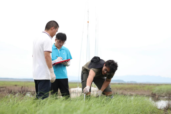 1129765884_16902020645361n.jpg 星天地