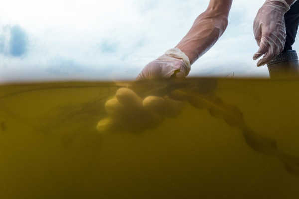 1129765884_16902020645321n.jpg 星天地