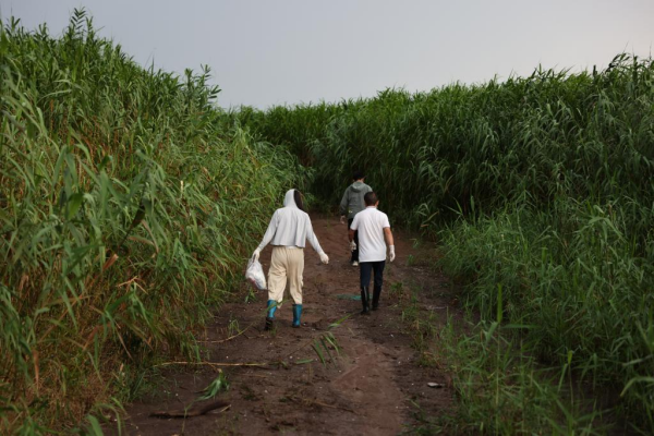 1129765884_16902020645261n.jpg 星天地