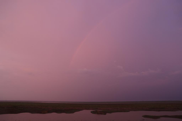 1129765884_16902020645451n.jpg 星天地