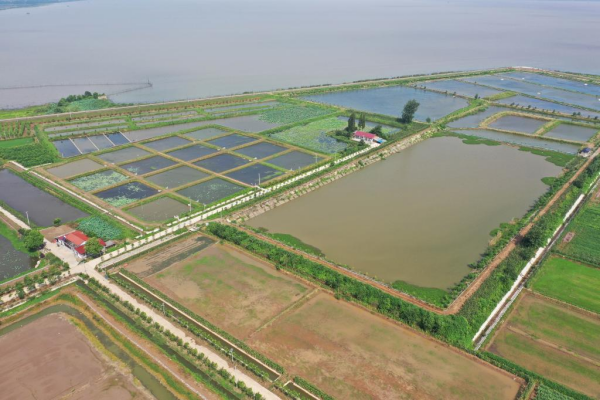 1129765884_16902020645351n.jpg 星天地