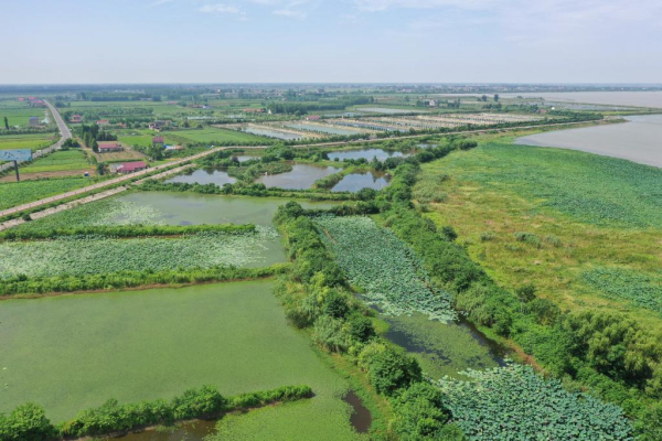 1129765884_16902020645391n.jpg 星天地