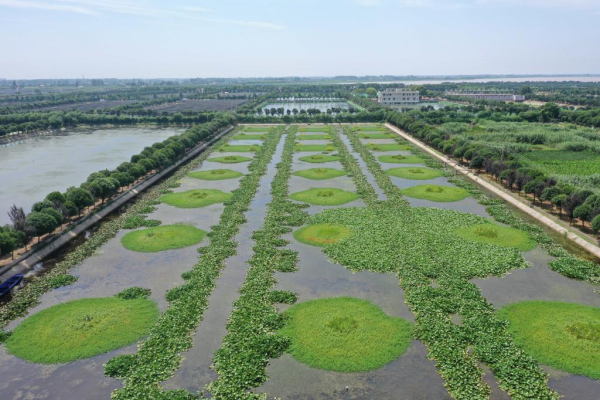 1129765884_16902020645331n.jpg 星天地