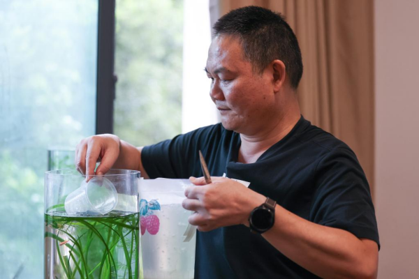 1129765884_16902020645291n.jpg 星天地