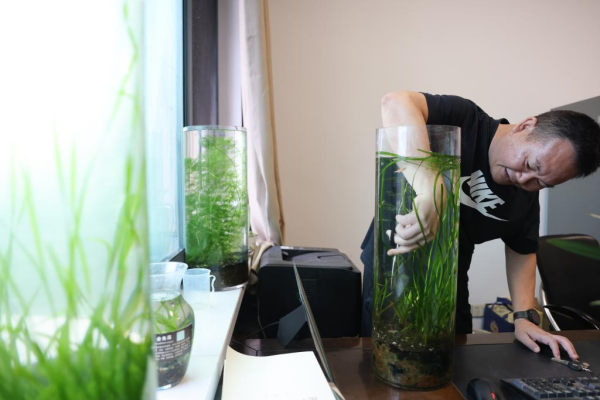 1129765884_16902020645221n.jpg 星天地