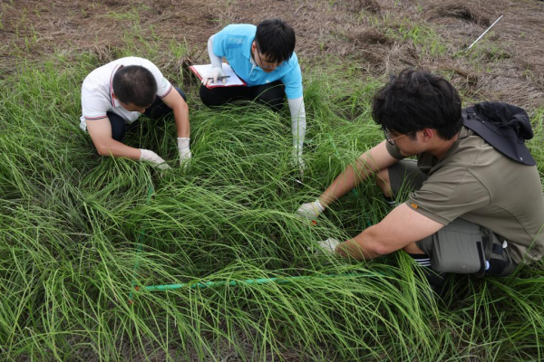 1129765884_16902020645401n.jpg 星天地