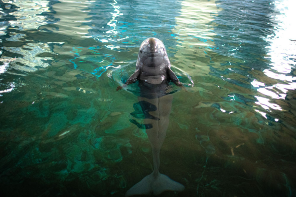 XxjpsgC007248_20230726_CBMFN0A024.jpg 星天地