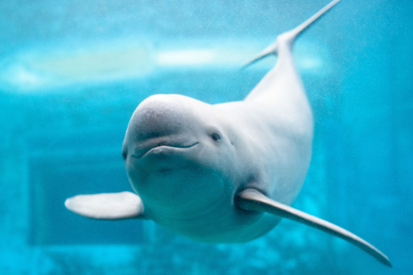 XxjpsgC007248_20230726_CBMFN0A028.jpg 星天地