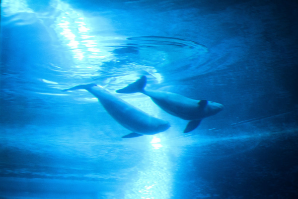 XxjpsgC007248_20230726_CBMFN0A027.jpg 星天地