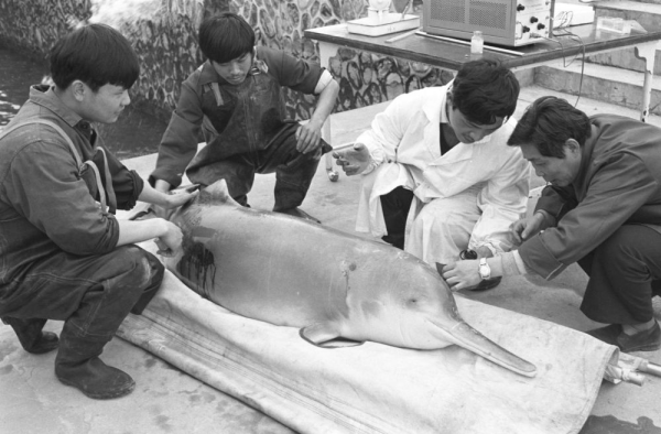 XxjpsgC007248_20230726_CBMFN0A004.jpg 星天地