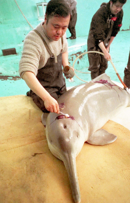 XxjpsgC007248_20230726_CBMFN0A006.jpg 星天地