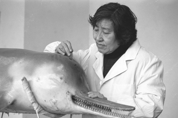 XxjpsgC007248_20230726_CBMFN0A002.jpg 星天地