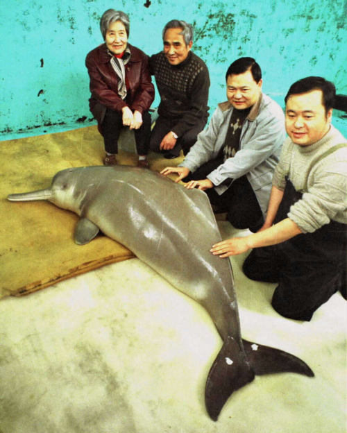 XxjpsgC007248_20230726_CBMFN0A007.jpg 星天地