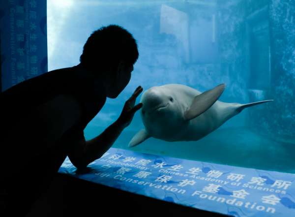 XxjpsgC007248_20230726_CBMFN0A023.jpg 星天地